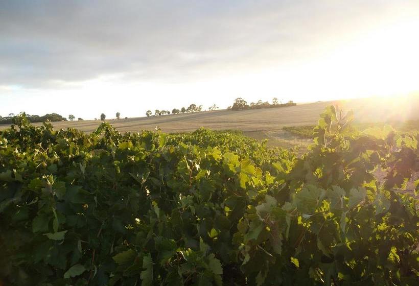 Bed and Breakfast Auburn Vineyard Retreat | Auburn | South Australia | Australia 3