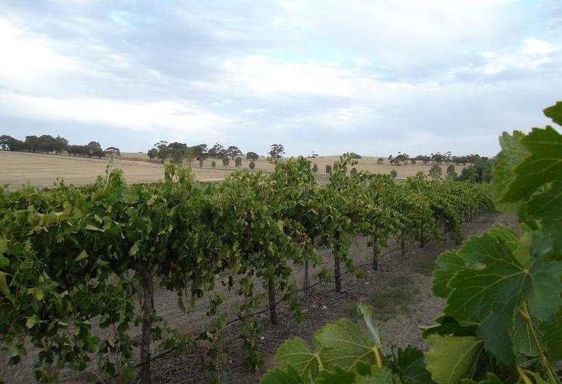 Bed and Breakfast Auburn Vineyard Retreat | Auburn | South Australia | Australia 4