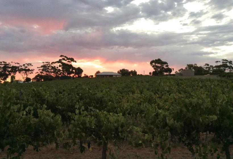 Bed and Breakfast Auburn Vineyard Retreat | Auburn | South Australia | Australia 5