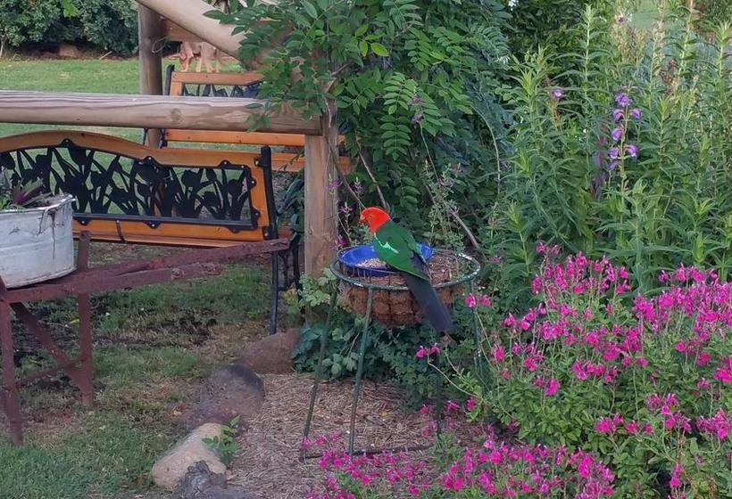 Bed and Breakfast Bed&Breakfast Birdhouse Cottage | Warwick | Queensland | Australia 3