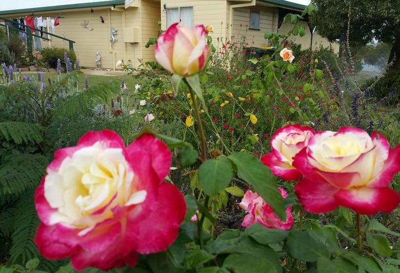 Bed and Breakfast Bed&Breakfast Birdhouse Cottage | Warwick | Queensland | Australia 8