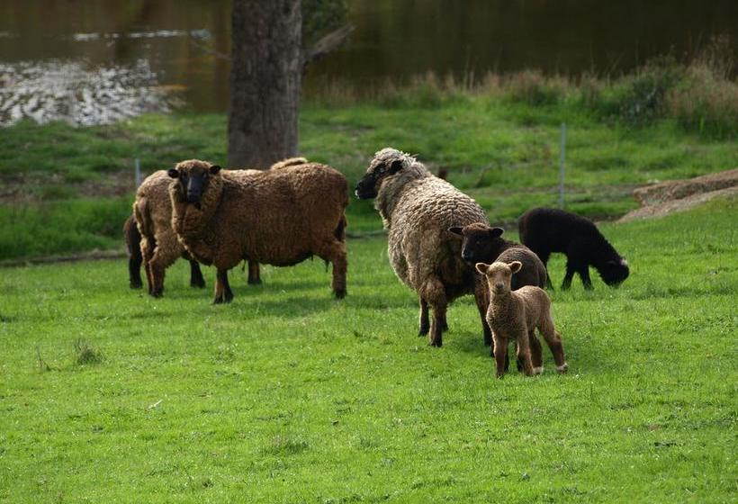 Bed and Breakfast Rickaty On Blackwood | Bridgetown | Western Australia | Australia 20