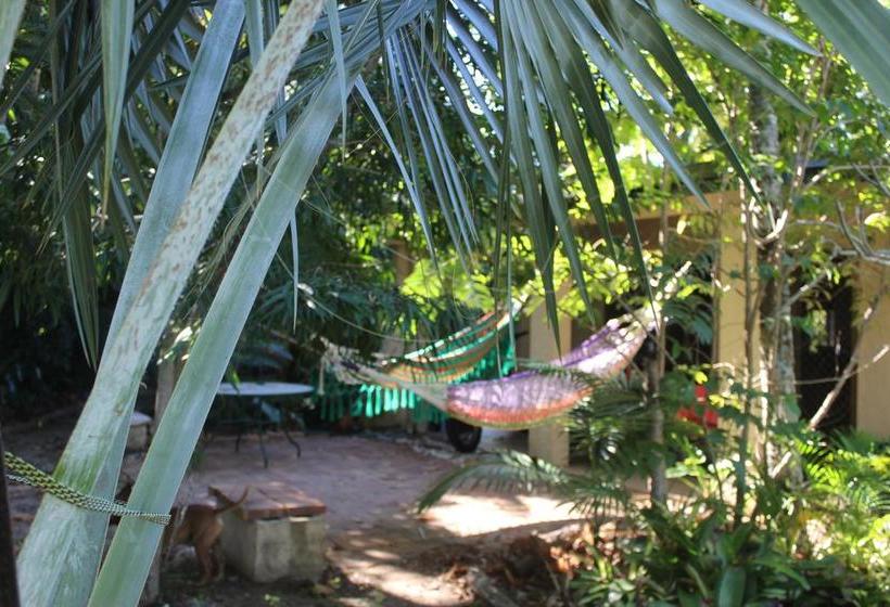 Bed and Breakfast El Ranchito | Holloways Beach | Queensland | Australia 14