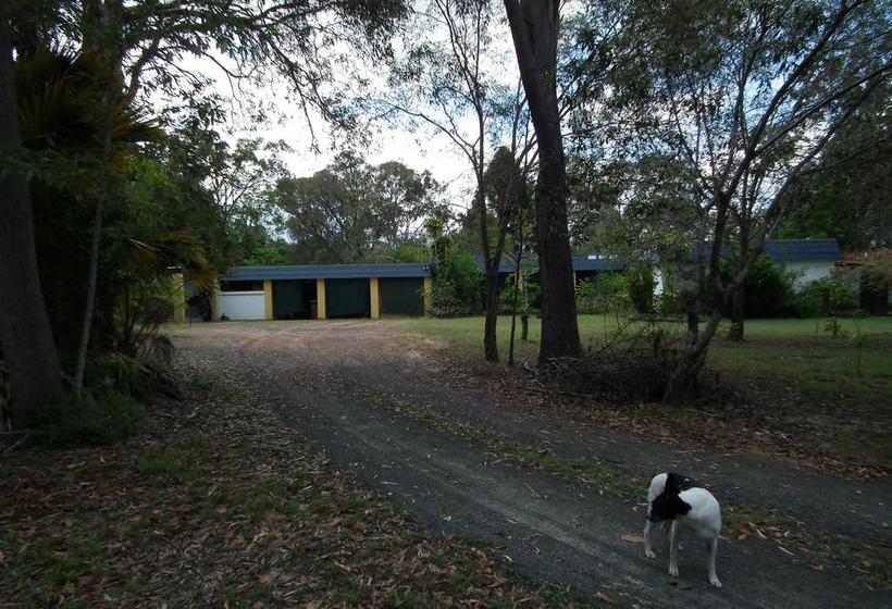 Bed and Breakfast Bed&Breakfast Shady Grove | Hervey Bay | Queensland | Australia 14