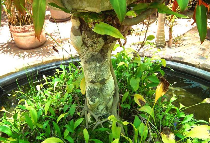 Bed and Breakfast Bed&Breakfast Shady Grove | Hervey Bay | Queensland | Australia 6