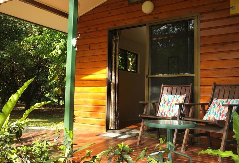 Bed and Breakfast Cape Trib Farm | Cape Tribulation | Queensland | Australia 7