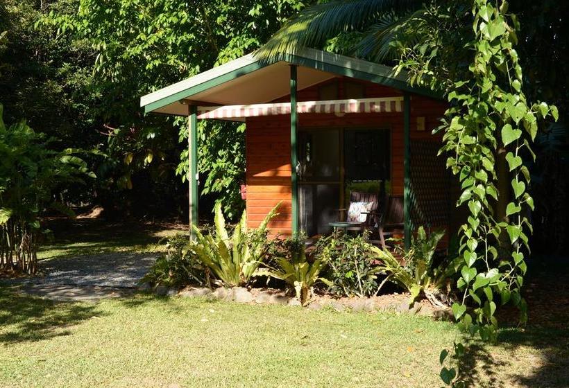 Bed and Breakfast Cape Trib Farm | Cape Tribulation | Queensland | Australia 9