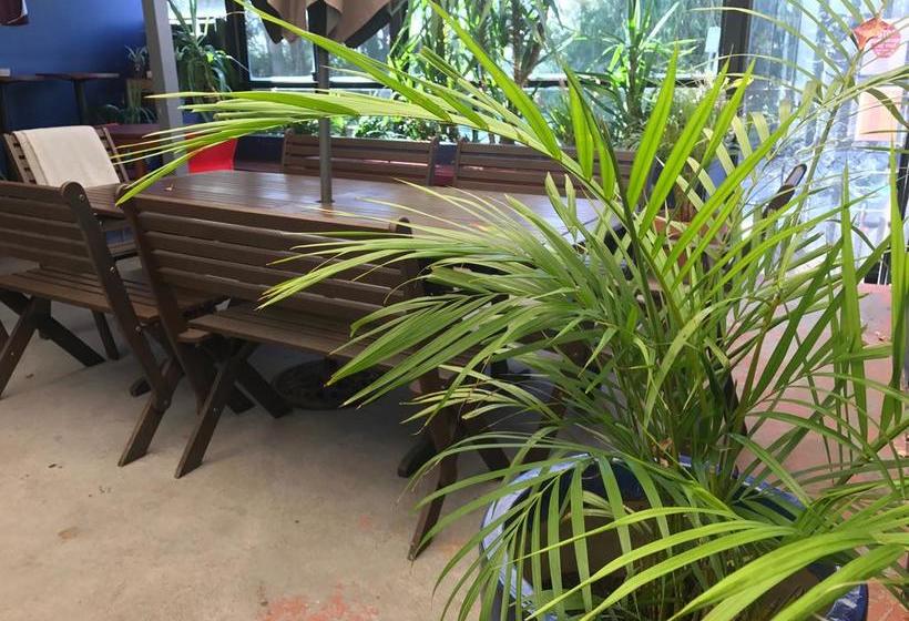 Bed and Breakfast The Merton | Sydney | New South Wales | Australia 8