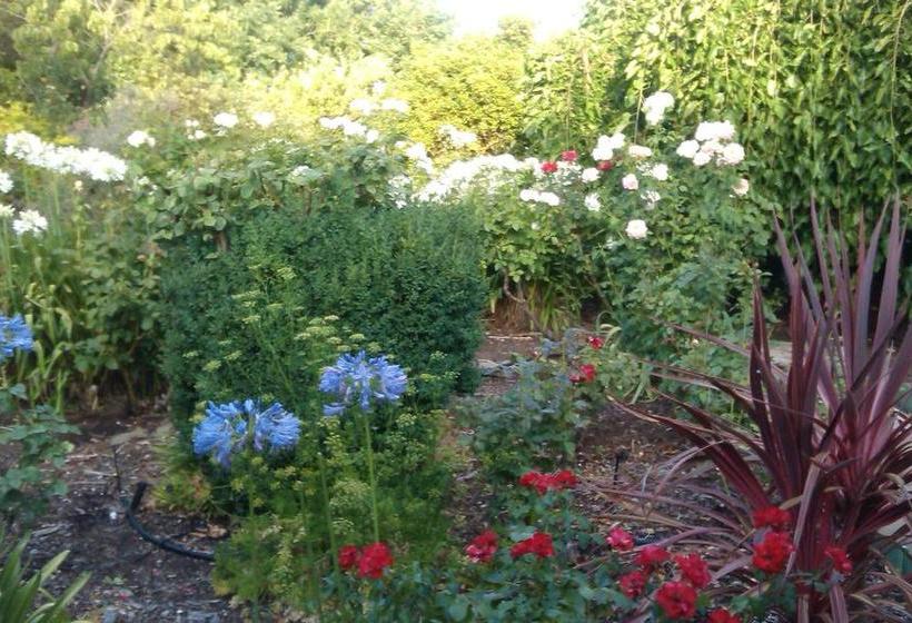 Bed and Breakfast Bed&Breakfast Angaston Rose | Angaston | South Australia | Australia 19