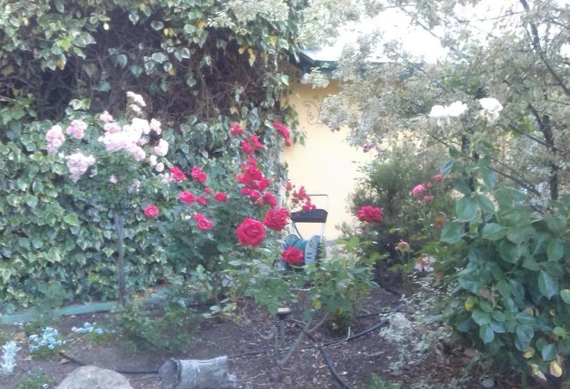 Bed and Breakfast Bed&Breakfast Angaston Rose | Angaston | South Australia | Australia 2