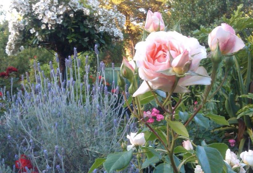 Bed and Breakfast Bed&Breakfast Angaston Rose | Angaston | South Australia | Australia 4