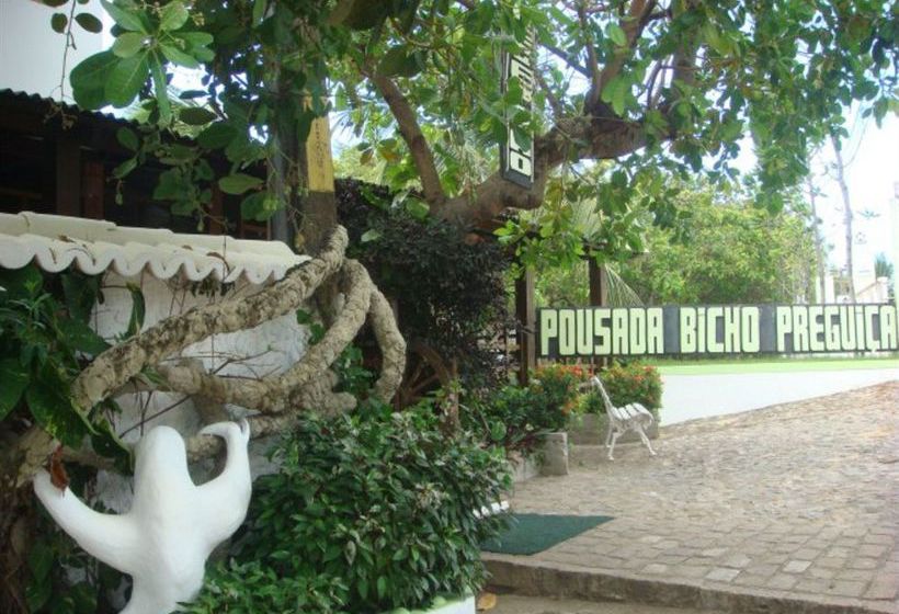 Hotel Pousada Bicho Preguiça  | Praia de Pipa | Rio Grande do Norte | Brasil 1