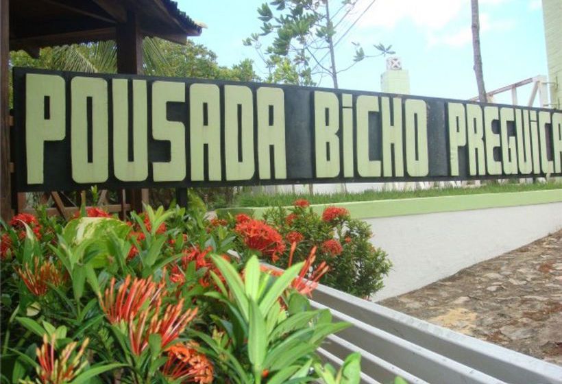 Hotel Pousada Bicho Preguiça  | Praia de Pipa | Rio Grande do Norte | Brasil 3