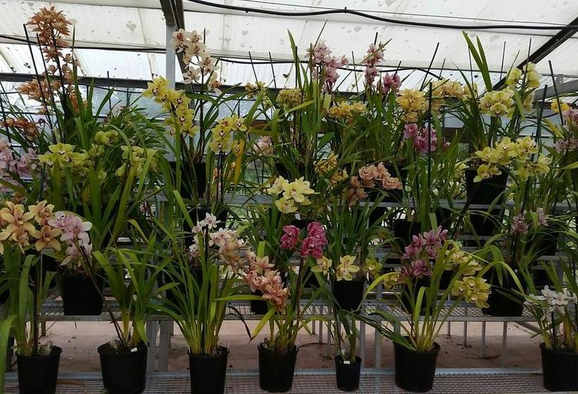 Motel Ararat Southern Cross Motor Inn | Ararat | Victoria | Australia 8