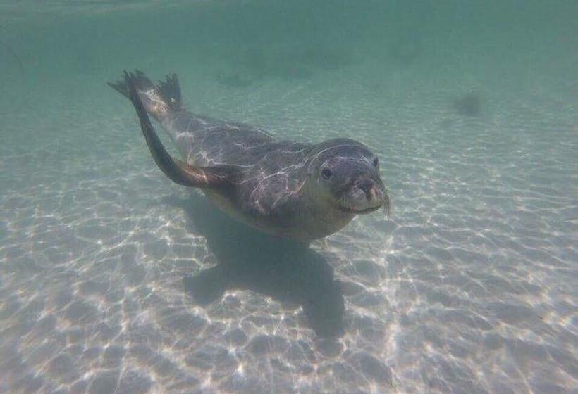 Bed and Breakfast The Royal Dolphin | Rockingham | Western Australia | Australia 15