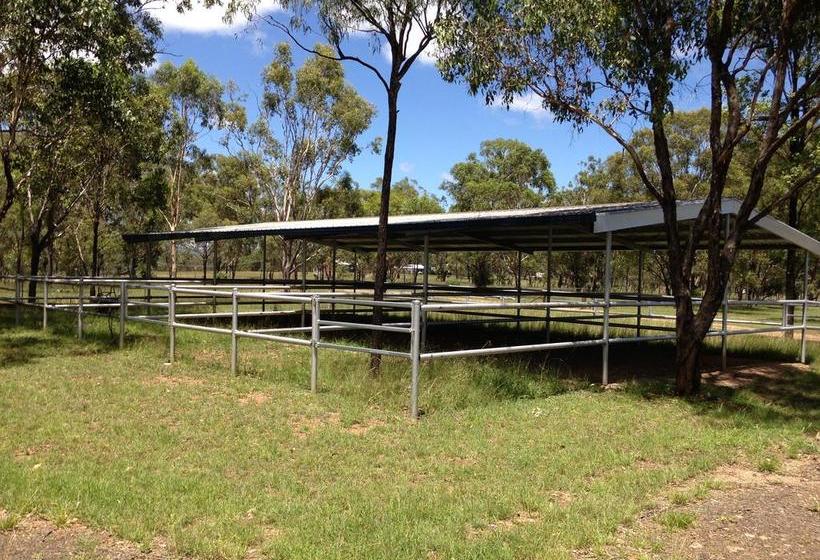 Motel Horsepower Cabins | Warwick | Queensland | Australia 2