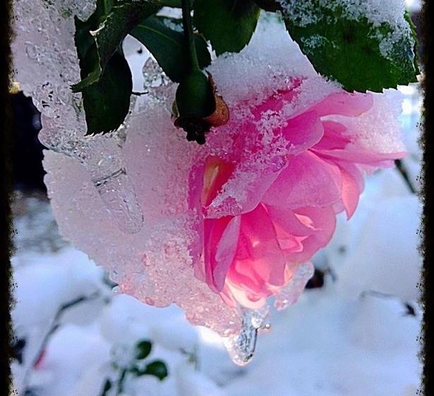 Bed and Breakfast Bed&Breakfast Arbour Garden | Stratford | Ontario | Canada 16