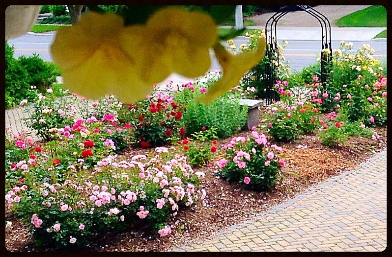 Bed and Breakfast Bed&Breakfast Arbour Garden | Stratford | Ontario | Canada 3