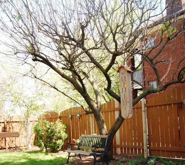 Ye Olde Walkerville Bed & Breakfast | Windsor | Ontario | Canada 18