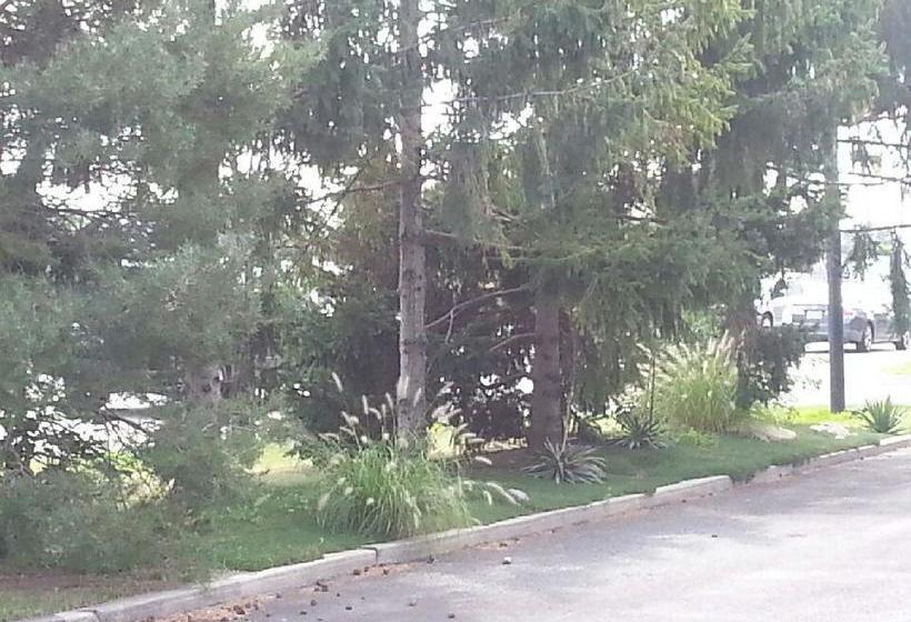 Airport Motel | Windsor | Ontario | Canada 18