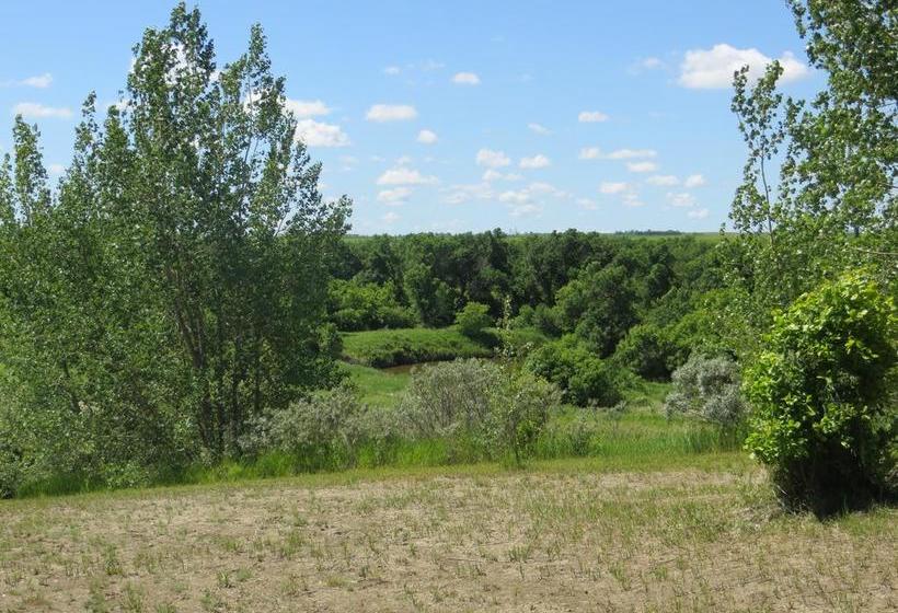 Bed and Breakfast Bed&Breakfast Orchard View | Moose Jaw | Saskatchewan | Canada 6