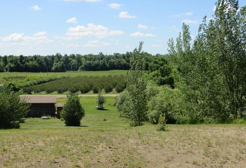 Bed and Breakfast Bed&Breakfast Orchard View | Moose Jaw | Saskatchewan | Canada 7