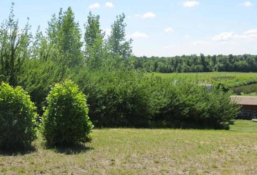 Bed and Breakfast Bed&Breakfast Orchard View | Moose Jaw | Saskatchewan | Canada 8