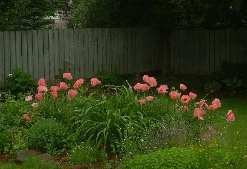 Elizabeth S Bed And Breakfast | Stratford | Prince Edward Island | Canada 7