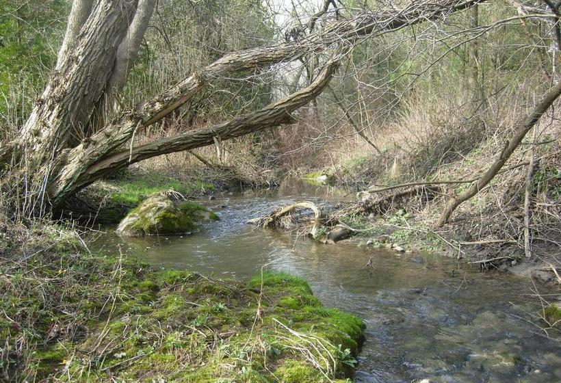 Koch Haus Bed And Breakfast | Stratford | Ontario | Canada 9