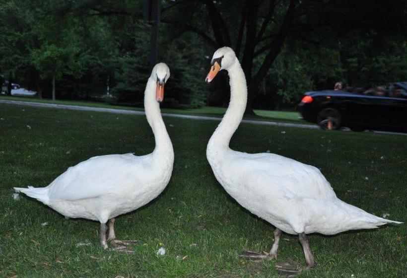 Ambassador B&b Guest Home | Stratford | Ontario | Canada 10