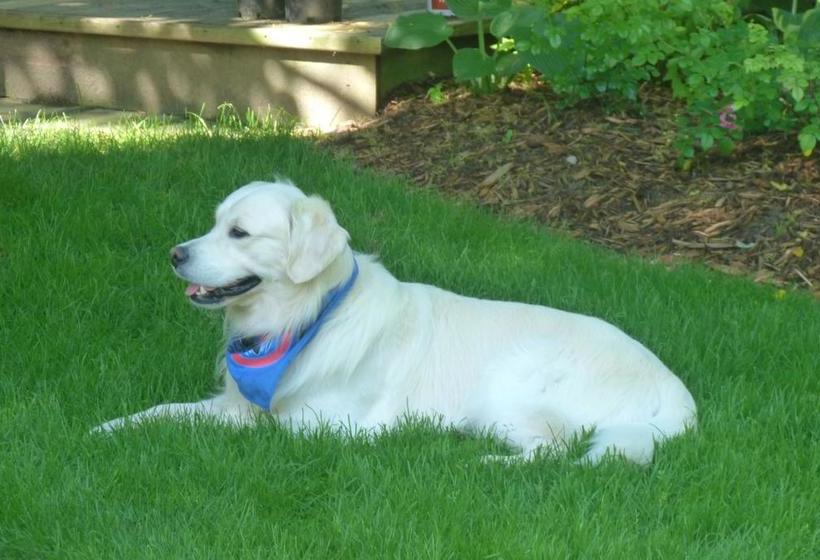 Bed and Breakfast Amadeus Haus | Stratford | Ontario | Hôtels au Canada 5