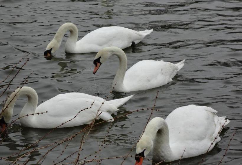 Bed and Breakfast Buckingham House | Stratford | Ontario | Canada 16