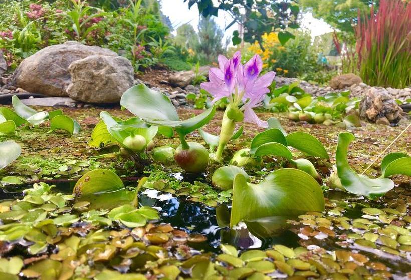 Bed and Breakfast à Amour Et Amitié | Magog | Quebec | Canada 5