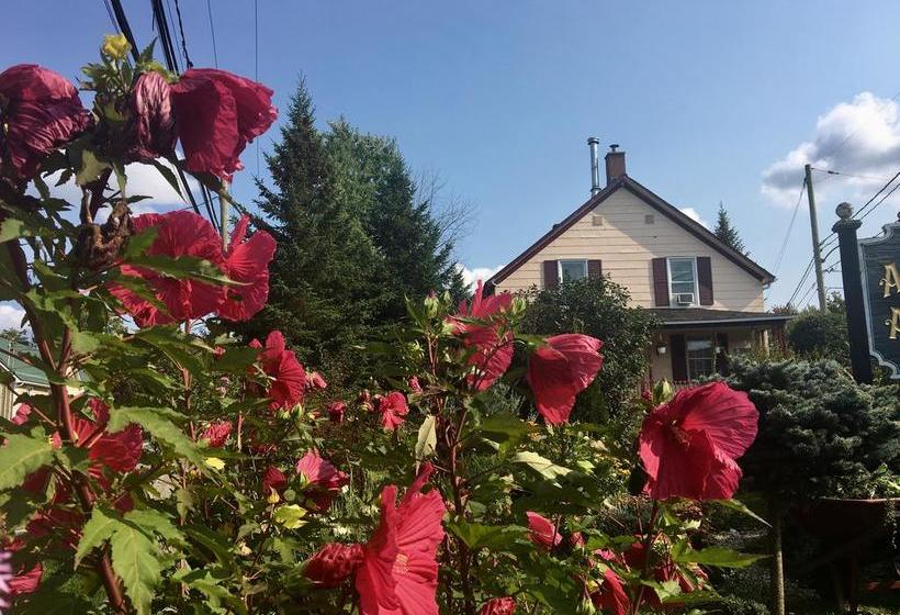 Bed and Breakfast à Amour Et Amitié | Magog | Quebec | Canada 6