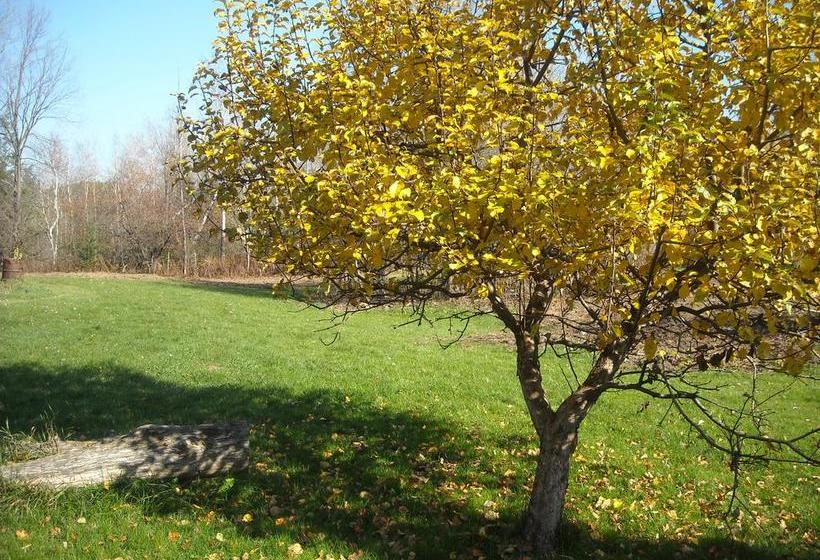 Au Gîte Du Cerf Argenté B&b | Magog | Quebec | Canada 12