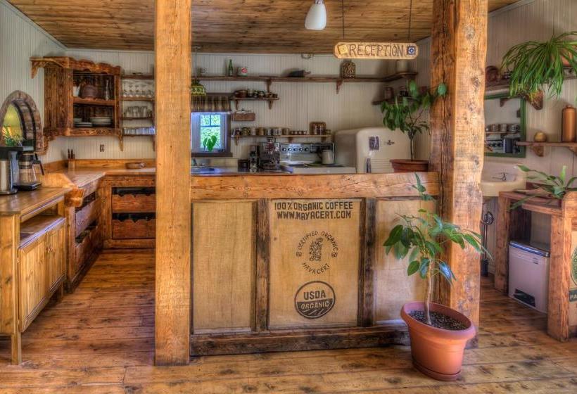 Hostel Auberge De Jeunesse  Les Mains Tissees | La Baie | Quebec | Canada 16