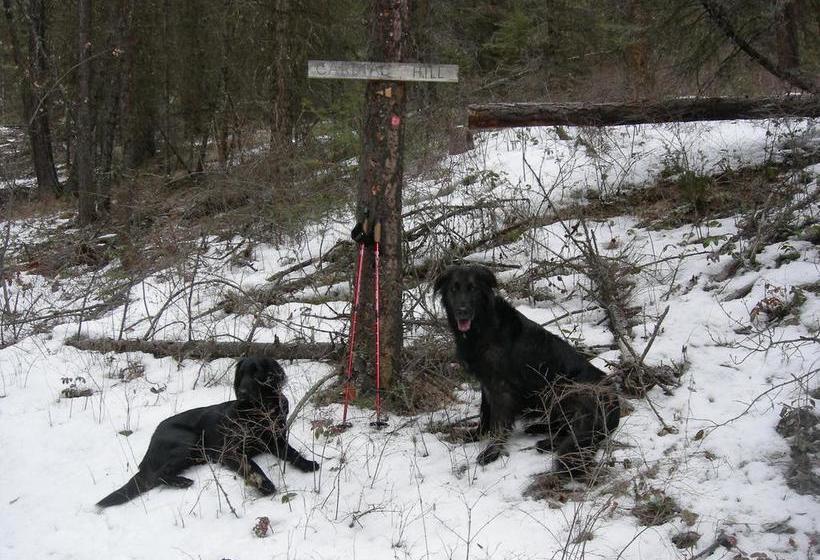 High Rim Bed And Breakfast | Kelowna | British Columbia | Canada 14