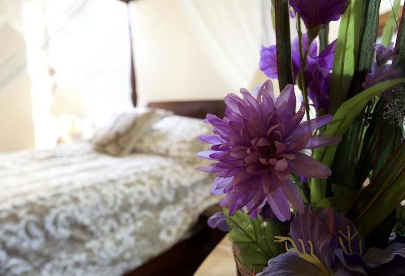 Bellas Castle Bed And Breakfast | Morden | Manitoba | Canada 4