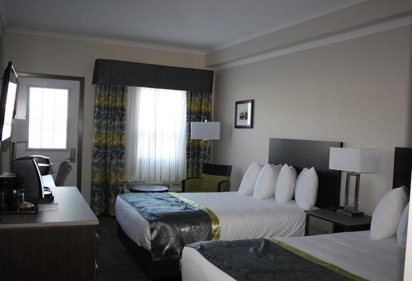 Hotel Crossroads Inn & Suites | St. John'S | Newfoundland and Labrador | Canada 10