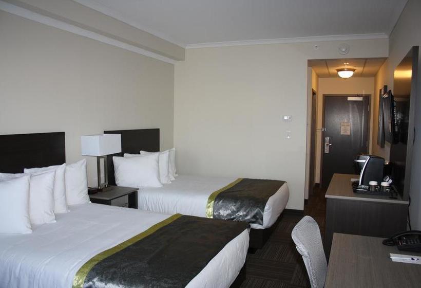 Hotel Crossroads Inn & Suites | St. John'S | Newfoundland and Labrador | Canada 11