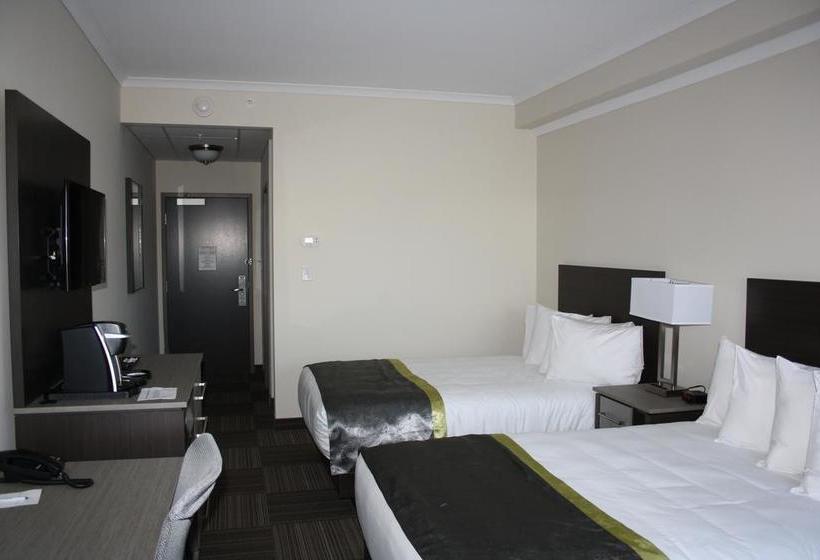 Hotel Crossroads Inn & Suites | St. John'S | Newfoundland and Labrador | Canada 13