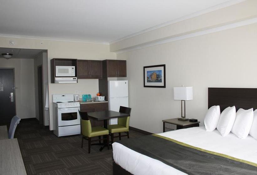 Hotel Crossroads Inn & Suites | St. John'S | Newfoundland and Labrador | Canada 16