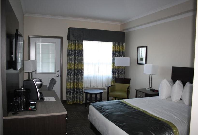 Hotel Crossroads Inn & Suites | St. John'S | Newfoundland and Labrador | Canada 2