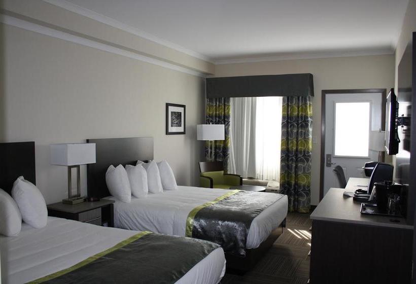 Hotel Crossroads Inn & Suites | St. John'S | Newfoundland and Labrador | Canada 9