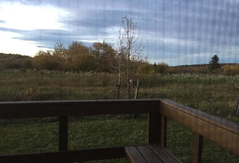 Motel Bulldog Inns | Sundre | Alberta | Canada 12