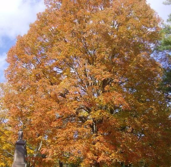 Courthouse B&b | Picton | Ontario | Canada 19