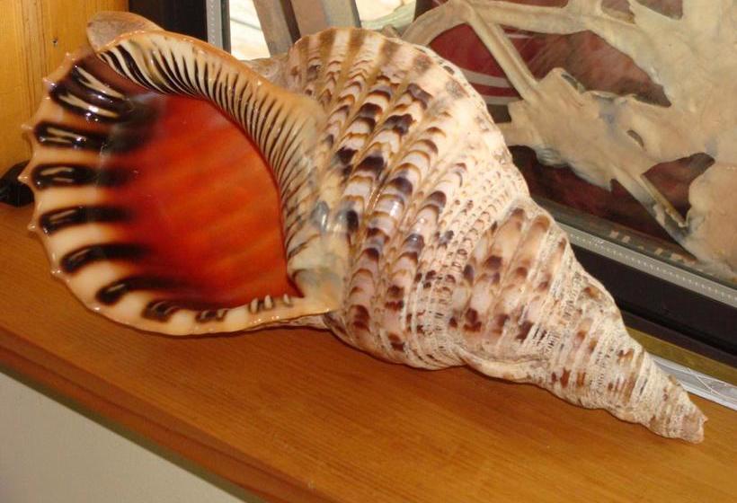 Estuary House B&b | Courtenay | British Columbia | Canada 14