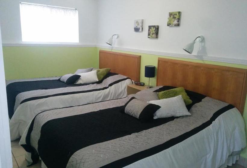 Bed and Breakfast Gîte Au Pignon Vert Stefoy