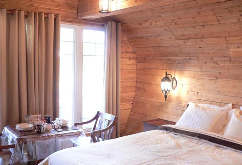 Bed and Breakfast L Oasis Du Pirate | Quebec | Quebec | Canada 10