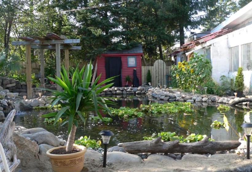 Bed and Breakfast L Oasis Du Pirate | Quebec | Quebec | Canada 11